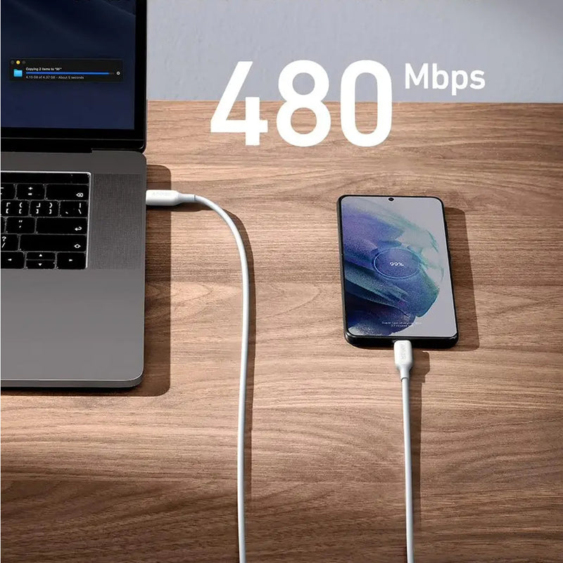 Anker PowerLine III USB-C to USB-C 100W 2.0 Cable - White (6ft Braided) 180CM