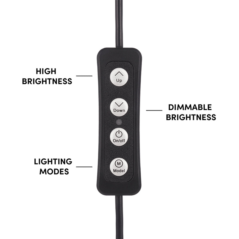 Case-Mate LuMee Studio 4 inch Ring Light