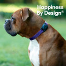 Case-Mate AirTag Mount For Dog Collar Black