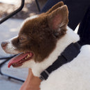 Case-Mate AirTag Mount For Dog Collar Black