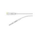 Belkin 3.5mm Audio Cable with Lightning Connector - White